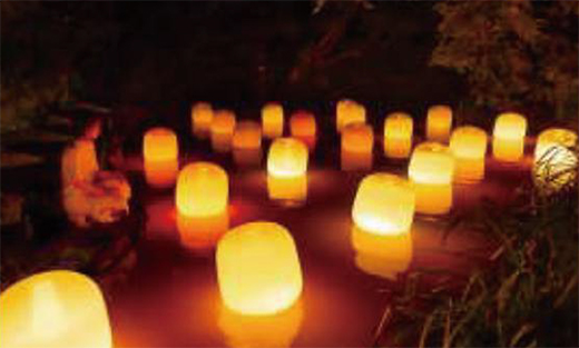 wz24111903 wz24111903